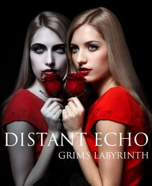 [Grim's Labyrinth 01] • A Distant Echo